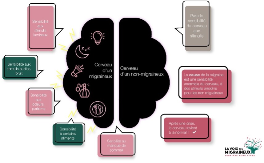 Visuel Migraine