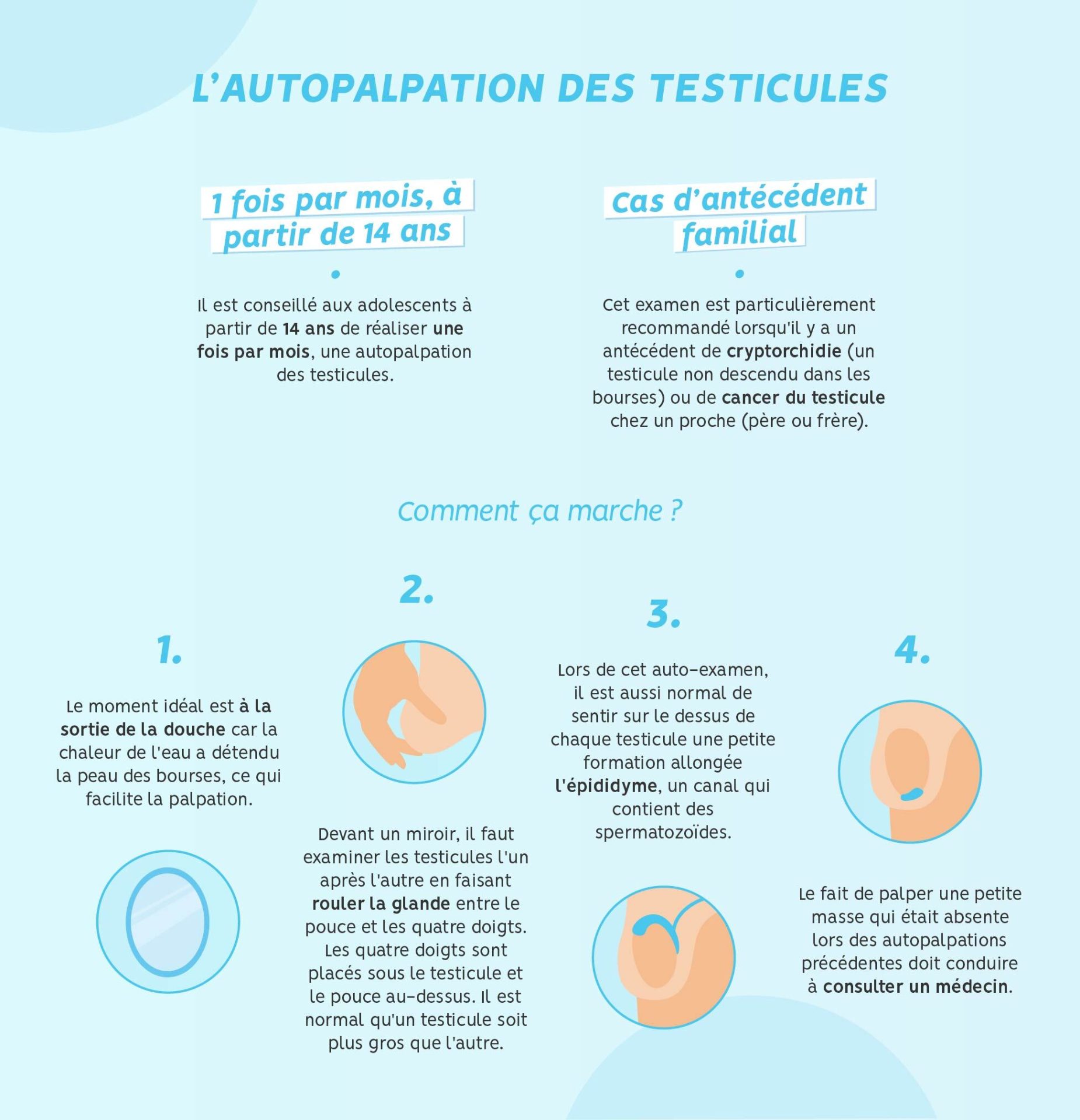 Cancer des testicules - Annuaire de soignants, actualités...